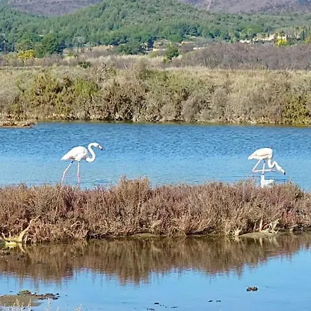 Les Salins D'azur - Terrasse - Proche De La Διαμέρισμα Ιέρ